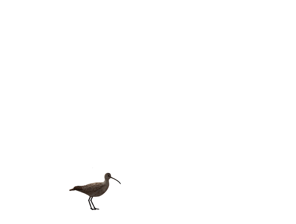 Unbenannt